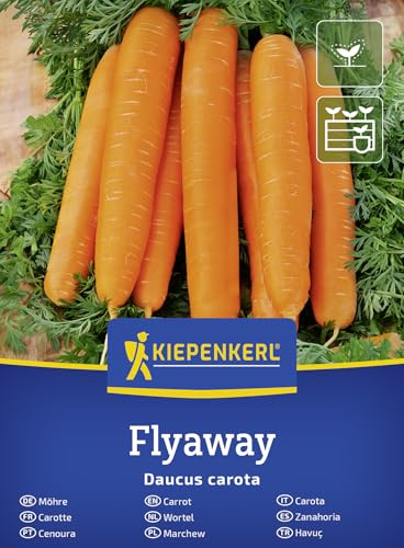 Kiepenkerl Möhrensamen Flyaway F1 50905, Gemüsesaat | Zylindrische, robust für Freiland & Hochbeet, resistent gegen Möhrenfliege, vielseitig für Küche & Vorrat