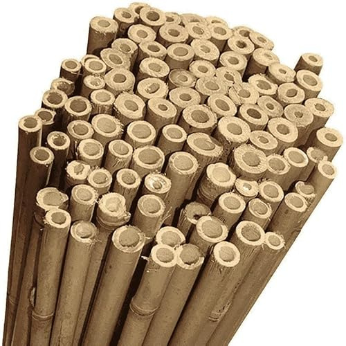 CANNE DI BAMBOO THAI - SOSTEGNO NATURALE per POMODORI E RAMPICANTI, IDEALE PER ORTAGGI, PIANTE E ORTO - Canna Bamboo (250 canne CM.240 / Ø 12/14)