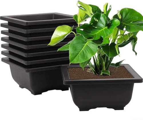 Whychstore - 6 vasi da fiori antichi per piante grasse, 16,5 x 12,3 x 5,9 cm, in plastica, per bonsai, colore: viola