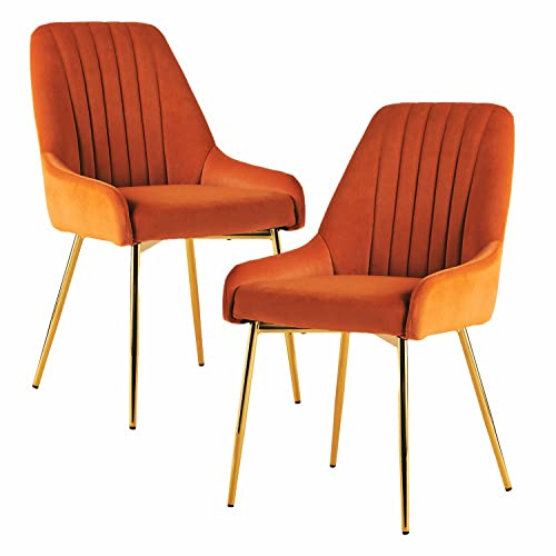 Fiximaster Lot de 2 chaises de Salle à Manger, rembourrées, en Velours, avec Dossier, Pieds dorés, ergonomiques, pour Salle à Manger, Salon et Chambre à Coucher, Blanches