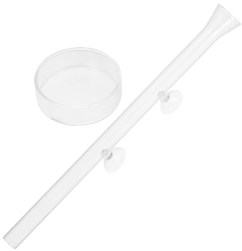 Parliky Tubo de Alimentación para Camarones de 35 Cm en Vidrio Transparente con Bandeja de Gran Capacidad para Acuario, Comedero para Gambas y Peces Pequeños, Contenedor Fácil de Limpiar
