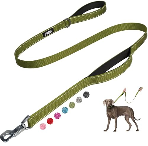 Fida 4 FT Heavy Duty Dog Leash with 2 Comfortable Padded Handles, Traffic Handle & Advanced Easy Snap Hook, Reflective Walking Lead for Large, Medium & Small Breed Dogs, Green