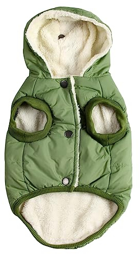 JoyDaog Fleece Hundemantel,Winter kleine Hundejacke mit Kapuze, Grün XS | Welpen Jacke mit Kapuze für kaltes Wetter, weich, winddichte Doggie Kleidung für Schnee spielen, täglicher Spaziergang