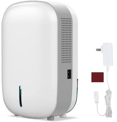 Bangnics Mini deumidificatore portatile per la casa, silenzioso, spegnimento automatico, deumidificatore elettrico per piccoli spazi, ideale per piccoli bagni, cantine, camera da letto