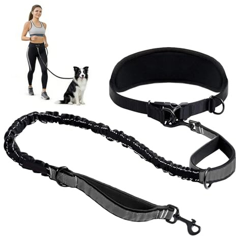 Joggingleine Hunde, Laufleine für Hunde, Bauchgurt Hundeleine zum Joggen Laufen Wandern mit Verbreiterter Gürtel, Reflektierende Nähte, Laufgurt für Große Hunde bis 50kg