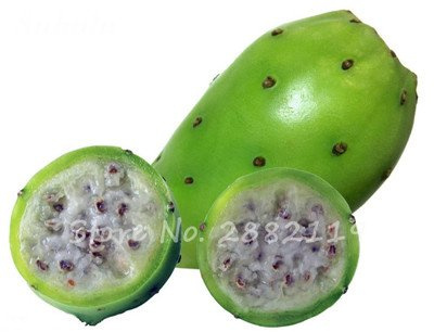 Grande promotion graines d'Opuntia rares figues de barbarie sucrées cactus très nutritifs graines de fruits comestibles jardin de fleurs bonsaï Paquet de 100 graines