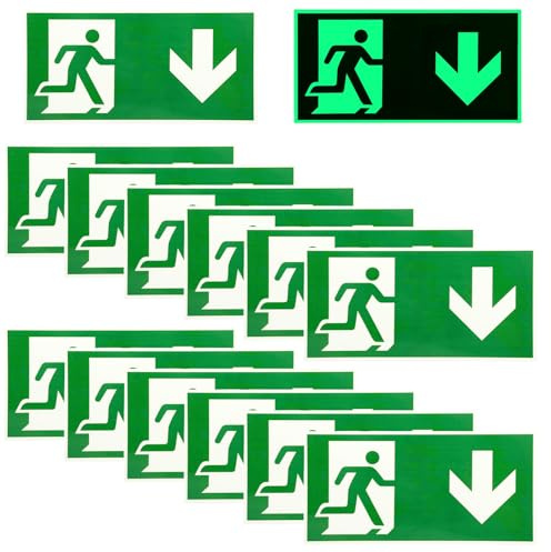 12 Stück Schild Notausgang: 300 x 150 mm Schild Notausgangsschild Extra Langnachleuchtend, Notausgangsschild Pfeil nach unten Reflektierend, Fluchtwegschild Rettungsweg (Nach unten)