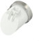 Valvola di non ritorno di scarico, copertura per tubi di drenaggio in PVC, anti-odore, 50-160 mm, filtro anti-insetti per acqua piovana per scarichi esterni da giardino (50 mm)