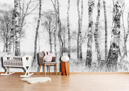 Papier Peint Panoramique Bouleau Noir Et Blanc Papier Peint Intissé 3D Tapisserie Poster Decoration Murale Chambre Salon
