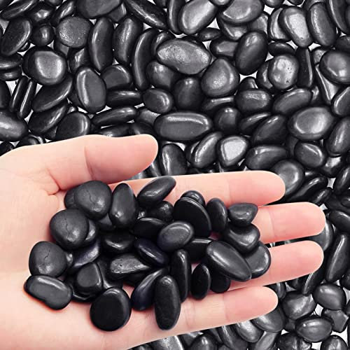 LONTOM Petits galets décoratifs noirs de 1 kg, gravier de rivière, pierres polies naturelles, gravier pour plantes de bambou, plantes grasses, décoration d'intérieur, aménagement paysager, remplissage
