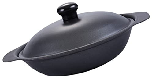 Amosfun Cast Iron Casserole Pot with Lid 16cm Non-stick Rice Cooker Iron Cooking Pot Sturdy for Braised Chicken