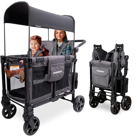 WONDERFOLD W2 Elite Pro Passeggino (2 posti) - Passeggino pieghevole con sedili con imbracature a 5 punti, maniglia regolabile e baldacchino regolabile, grigio antracite