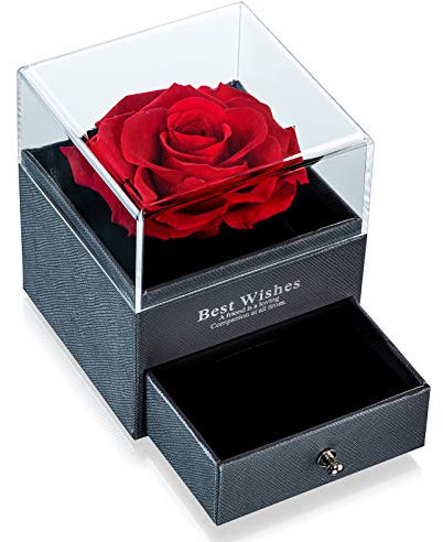 NUPTIO Rot für Immer Rose für Freundin Erhalten, Echte Ewige Rose Blume Geschenk Hochzeitstag Geburtstags für Sie, Unendlich Frische Blume mit Schmuck Geschenkbox für Valentinstag Muttertag