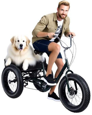 Rodiuiu Adult Tricycle, Fat Tire 7 Speed Cruiser Trike, 20 Inch 3 Wheel Bikes with Large Basket for Seniors, Women, Men, Adult Trikes for Shopping Picnic Outdoor Sports(Today Shipment)