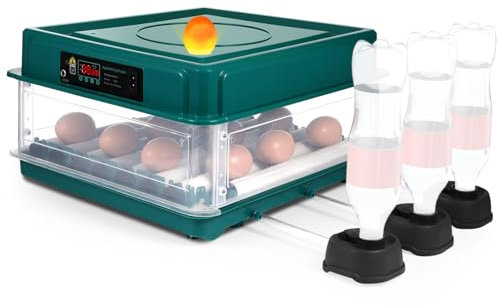 OKUMEYR Brutmaschine Elektrische Hühnerklappe Mit Zeitschaltuhr Hühnerklappe Mit Timer Brutmaschinen Bolzenschussgerät Für Schweine Eierkartons Eierpaletten Temperaturwächter Hühnerklappe Solar