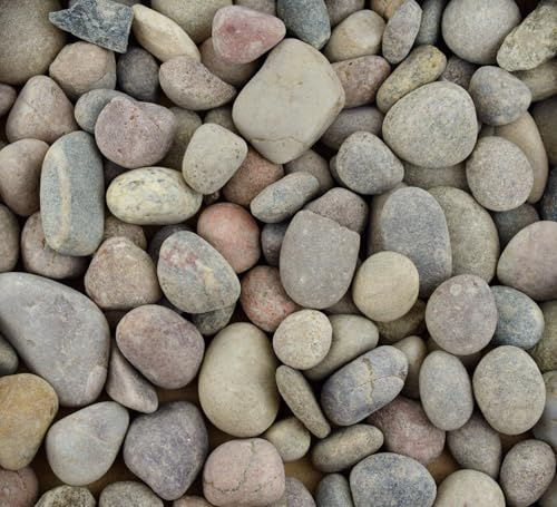 Scottish Pebbles 14-20mm | Scottish | Decorative Aggregate, Garden Stones, Chippings, Driveway Surface (1, 20kg)