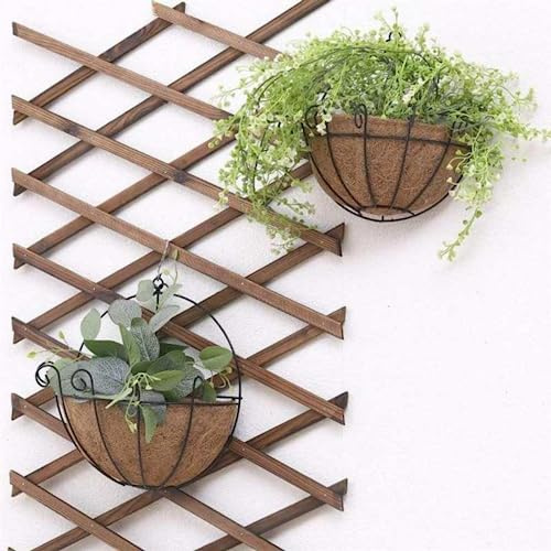 Wankd Pflanzenhalter, Wandhalterung, 2PCS Übertopf Blumenkorb Kokos Schale Blumentopf Deko Eisen Korb Indoor Outdoor Blumentopf Flower Halter für Haus Garten Balkon Dekoration, 10inch