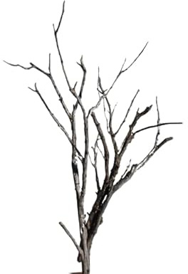 Miniature ho Scale Tree Sagebrush Deciduous Armatures Railroad Wargaming Scenery Dollhouse Garden Realistic Model Tree Miniature Landscape (5 Inches)