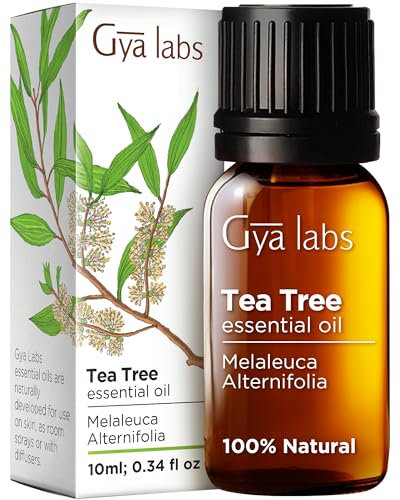 Gya Labs Australisches Teebaumöl für Haut, Haare, Gesicht und Zehennägel (10 ml) – natürliches ätherisches Melaleuca-Teebaumöl für Piercings, Kopfhaut und Haare