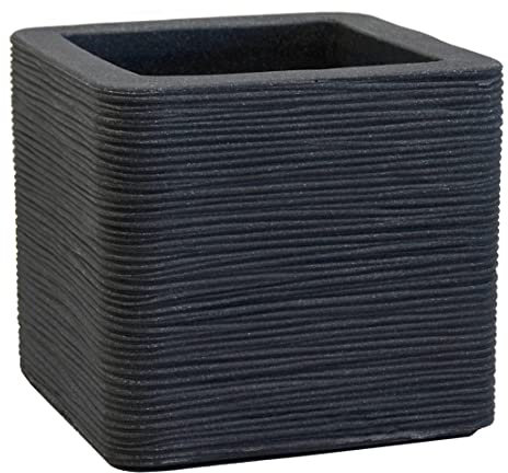 Dehner Maceta, carbón