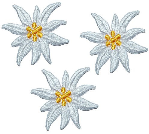 alles-meine.de GmbH 3 TLG. Set: kleine Blüten Edelweiss - 3,5 cm * 3 cm Bügelbild - Aufnäher Applikation - weiße/beige/Ivory Edelweiß - Alpenblume - Blumen Blüten für Trachte..