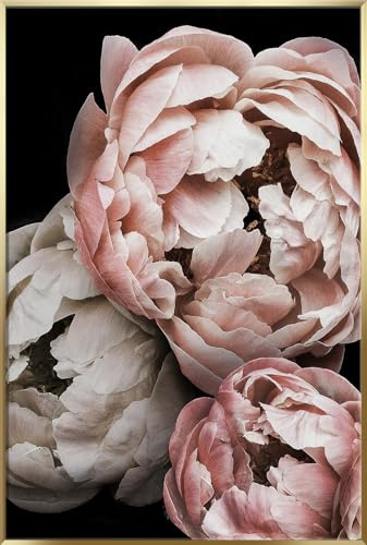 STYLER Gerahmtes Bild Peony 50 x 70 cm I Artbox goldener Rahmen gold Hochformat Wandbild Rose Pfingstrose Blüten Blume Blumen Wohnzimmer Schlafzimmer Büro Wanddeko Home Deko | modern elegant groß