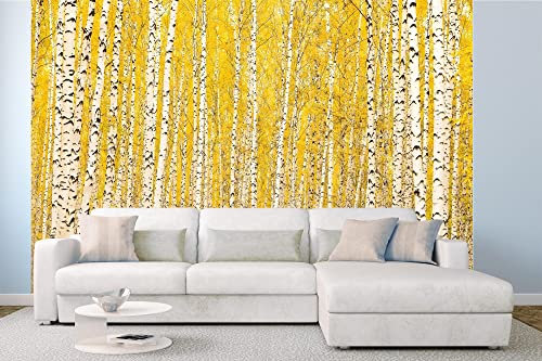 Vlies Fototapete GELBE BIRKE 375 x 250 cm (inkl. Kleister) - Vlies Tapete, Wandtapete, Wandbilder - Tapete für Wohnzimmer Schlafzimmer, Büro, Küche - Montagefertig
