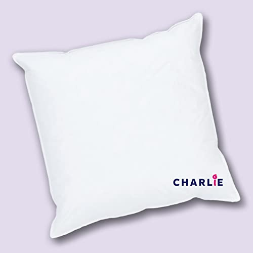 Koru Style Charlie Kopfkissen 80x80 cm – 3 Kammer-Kopfkissen - allergiker geeignet - Kissen 80x80 cm – Füllgewicht 1250 + 400g – Federkissen 80 x 80 cm - Oeko-Tex 100 geprüft – hohe Stützkraft