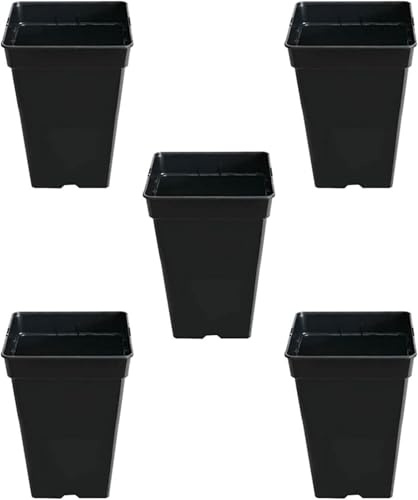 GROWMANIA Pack 5 Macetas Cuadradas para Plantas Negra 3L - Cinco Maceteros de Plástico para Flores 15x15x20 cm