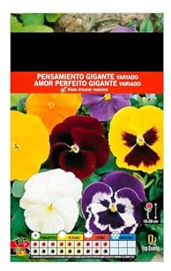Semillas Pensamiento PREMIUM Semillas Viola Tricolor