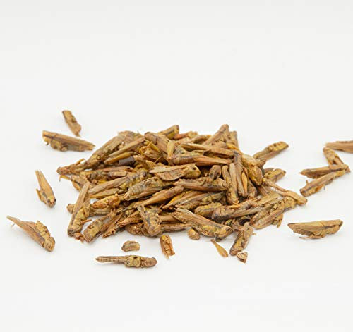 Warnick´s Tierfutterservice Grashüpfer, Heuschrecken, Grillen, Futterinsekten getrocknet (1.000ml)