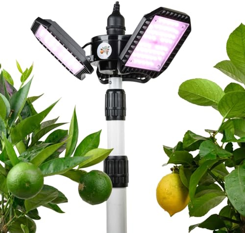 Meine Orangerie - LED-Pflanzenlampe FLEX [60W] - Vollspektrum LED Pflanzenleuchte zur Überwinterung von mediterranen Pflanzen - Entwickelt mit den Zitruspflanzen-Profis (LED Lampe mit Stativ)