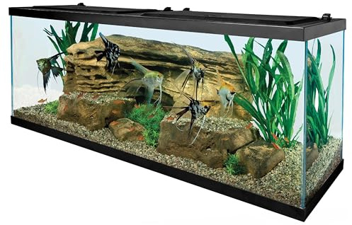Tetra Complete LED Aquarium Kit for Fish, 55 Gallons, Includes White LED Lights, Filter, Heater and Accessories