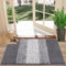 Felpudo Entrada Casa, Alfombra Atrapapolvo, Alfombra Antideslizante, Microfibra Absorbente y Suave Alfombra Entrada Casa, Tapete Entrada para Perros, Mascotas, Puertas y Pasillos, Gris, 40 x 60 cm