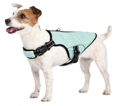 Kühlweste für Hunde, Hundekühlungsmantel Sommer Sicherheitsweste Atmungsaktive & Reflektierende für Klein Mittlere Große Hunde Kühljacke Aktivitäten Draußen Wandern Training(Grün, S)