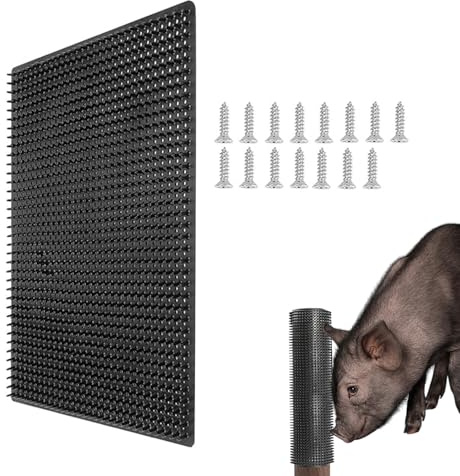 Cepillo de cerdas de alto rendimiento con base resistente a la intemperie, mejora el cuidado seguro y cómodo con el tacto suave y la estructura