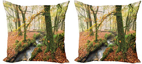 Ambesonne Woodland Decorative Throw Pillow Case Pack of 2, Misty Autumn Woodland Stream at Golitha Falls on Bodmin Moor in Cornwall, Couch Bedroom Living Room Cushion Cover, 20, Orange Green Yellow