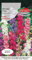Verdica Semillas de delphinium ajacis de verano – inflorescencias vivas parecidas al jacinto ideal para parterres y flores cortadas, resistentes 50 – 100 cm de altura, prosperan a pleno sol (4 gramos)