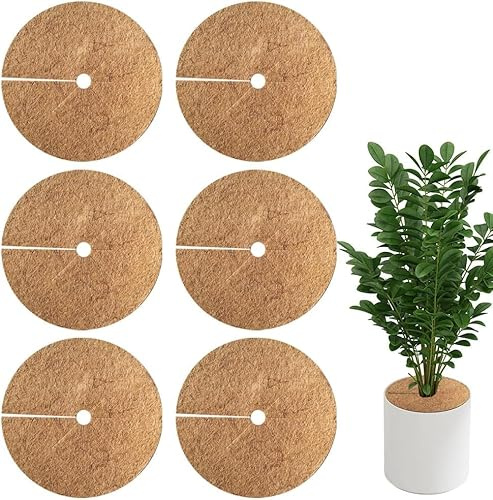 6 Stück Kokos Pflanzenschutz, Runde Kokosmatte Winterschutz Kübelabdeckung,Kokosmatte Pflanzenschutz, Kokos-Mulchscheibe, Kokosmatte Pflanzen Kälteschutz für die Palmentöpfe, Blumentopfe (35CM)