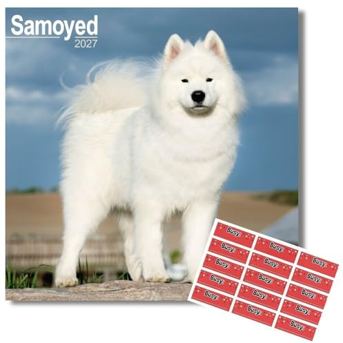 Avonside Samoyed 2027 Square Calendar with Organisational Stickers | 16 Month Square Wall Calendar, Month to View Layout, Marked UK Holidays, High Quality Images, Home or Office Planner, 12x12in