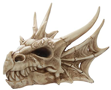 Puckator - Figura Decorativa de Calavera de dragón, Resina Artificial, Color Mezclado, 16,5 cm de Altura x 22,5 cm de Ancho x 25 cm de Profundidad