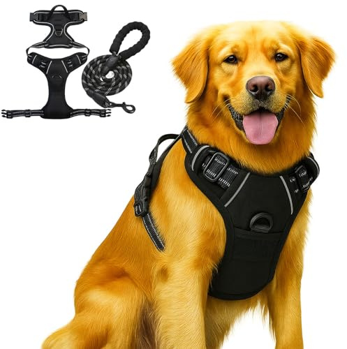 Reflektierendes Anti Zieh Geschirr Für Große Hunde Mit Leine, Atmungsaktives No Pull Brustgeschirr, Verstellbar & Mit Kontrolle (schwarz, L)
