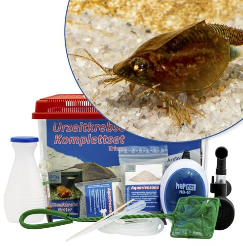 Triops cancriformis Komplettset 6 l, Urzeitkrebs-Eier, Futter und Filter | ca. 200 Urzeitkrebs-Eier, 6 l Aquarium, Filter, Luftpumpe, Futter, Zubehör und Anleitung; Komplett für Zucht und Aufzucht