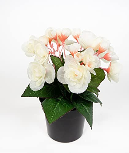 Seidenblumen Roß Begonie 20cm weiß im Topf JA Kunstpflanzen Begonienbusch künstliche Blumen Pflanzen Kunstblumen