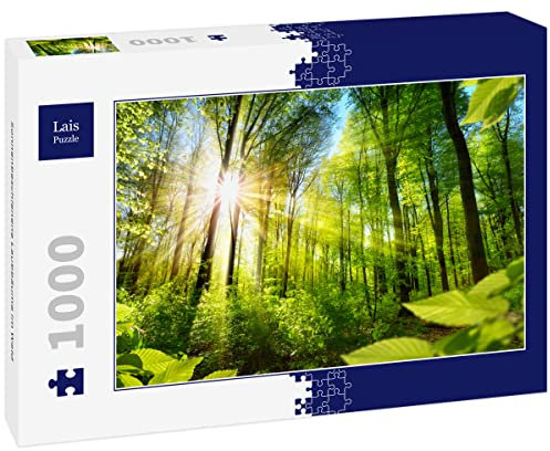 Lais Puzzle Árboles caducifolios iluminados por el Sol en el Bosque 1000 Piezas