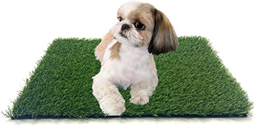 Azulejos De CéSped Alfombras De Césped Artificial para Mascotas, Cambiador De Inodoro De Césped Artificial para Perros/Gatos, Fácil De Limpiar Y Mover (Size : 46x58.5cm)