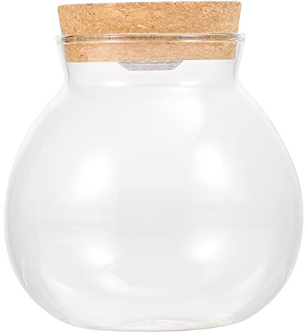 Borosilicate Glass Bottle with LED Light for Micro Landscape | White Finish, Wooden Cover Detail, DIY Display for Room Decor, Easy Viewing and Compact Terrarium Use