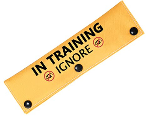 In Training Ignore Dog Leash Sleeve Dot Not Pet Working Dog Leash Sleeve Service Dog Leash Wrap (Training Ignore D-S)