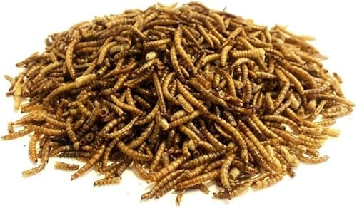 500g Dried Mealworms Premium Wild Bird Food MCW
