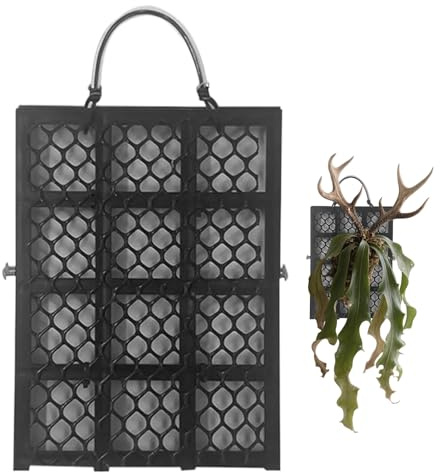 Juego de montaje de helechos de cuerno de estrazo, soporte vertical para plantas trepadoras, orquídeas Platycerium, montaje de orquídeas, soporte para plantas trepadoras, para interior y exterior